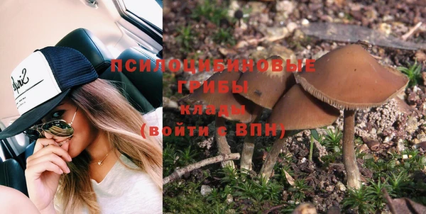 СК Костерёво