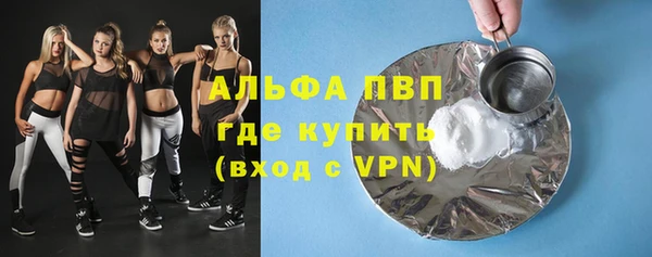 дживик Корсаков