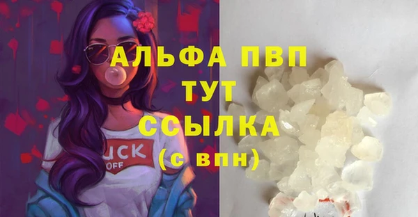 дживик Корсаков