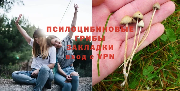 СК Костерёво