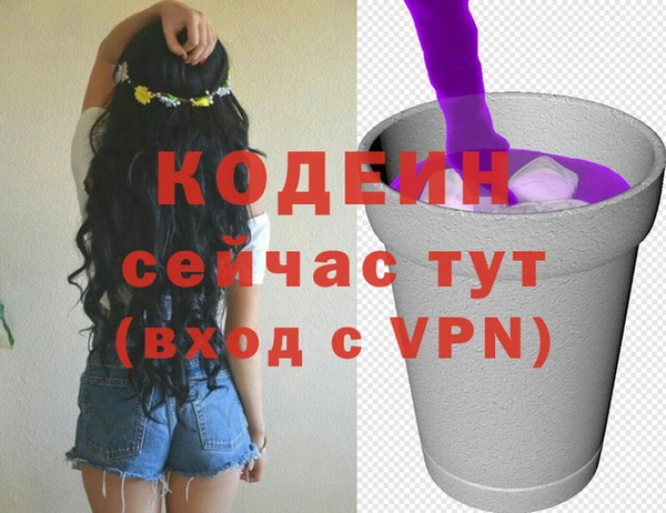 дживик Корсаков