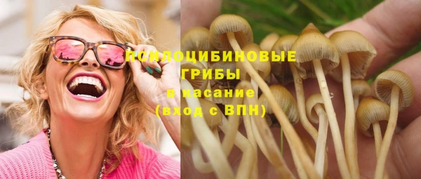 сатива Фёдоровский