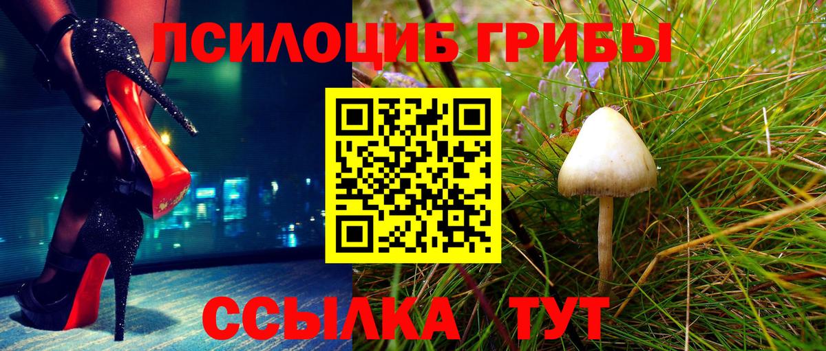 Галлюциногенные грибы GOLDEN TEACHER  Фурманов 