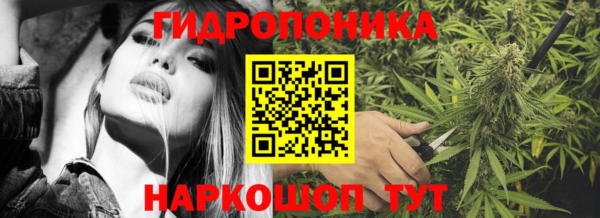 Каннабис MAZAR Фурманов
